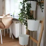 Boho Stil Mit Flussblick Nahe Stadtzentrum Appartamento *