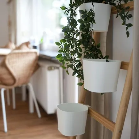 Boho Stil Mit Flussblick Nahe Stadtzentrum Appartement *