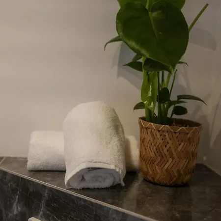 Boho Stil Mit Flussblick Nahe Stadtzentrum Apartment Koblenz (Rhineland-Palatinate)