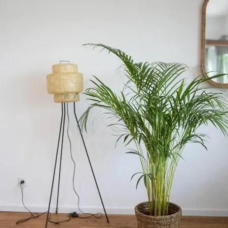 Boho Stil Mit Flussblick Nahe Stadtzentrum * Koblenz (Rhineland-Palatinate)