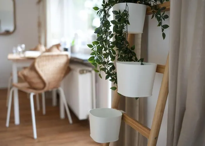 Boho Stil Mit Flussblick Nahe Stadtzentrum Apartamento *