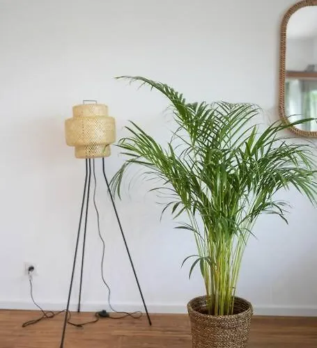 Boho Stil Mit Flussblick Nahe Stadtzentrum * Coblença